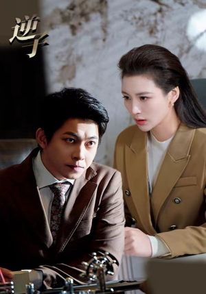 逆子(28集) 逆子(28集)超好看的短剧