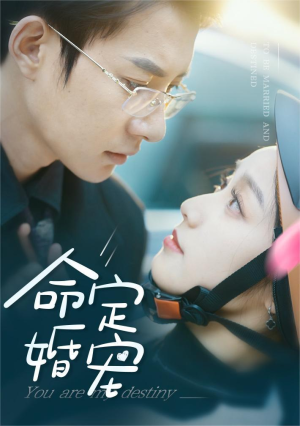 命定婚宠(61集) 命定婚宠(61集)免费版