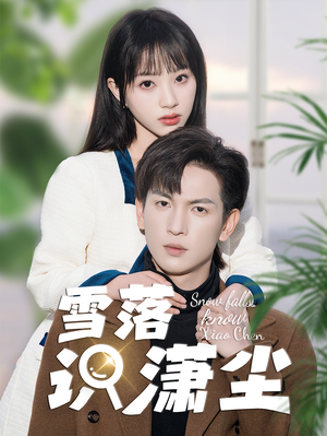 雪落识潇尘（80集）在线免费观影