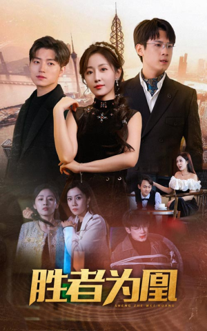 胜者为凰（89集）热门短剧抢先