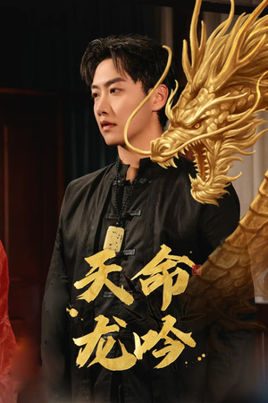 天命龙吟（48集）最火短剧推荐