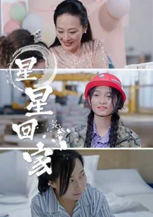 星星回家(36集) 星星回家(36集)经典老剧免费看