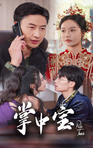 掌中宝（31集）看过的人都说好