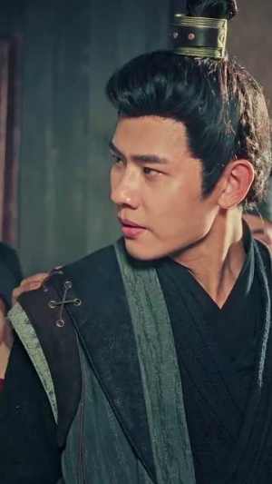 精忠报国(41集) 精忠报国(41集)80到100集