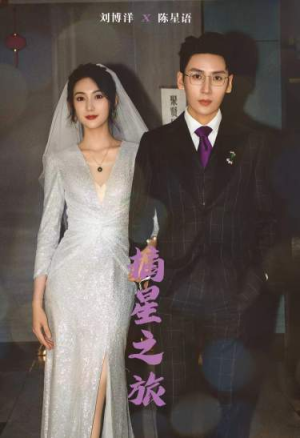 摘星之旅（88集）大结局一气呵成