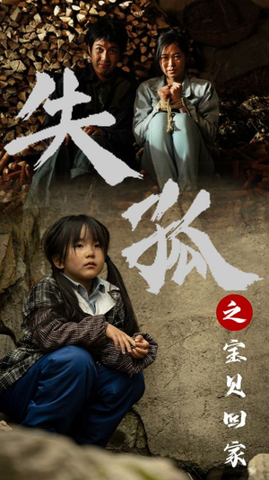 失孤之宝贝回家（71集）最新上映的短剧