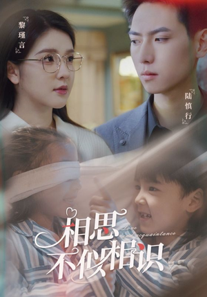 相思不似相识(101集) 相思不似相识(101集)红果免费看短剧