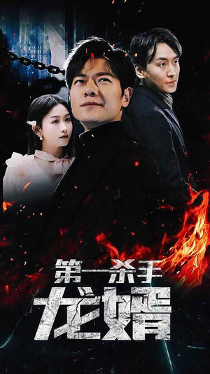 第一杀手龙婿（100集）热门短剧免费看