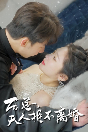 历总，夫人拒不离婚（61集）免费在线看