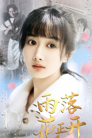 雨落花正开（62集）免费短剧资源