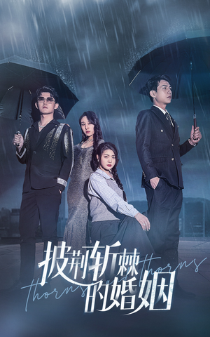 披荆斩棘的婚姻（70集）短剧热门分享