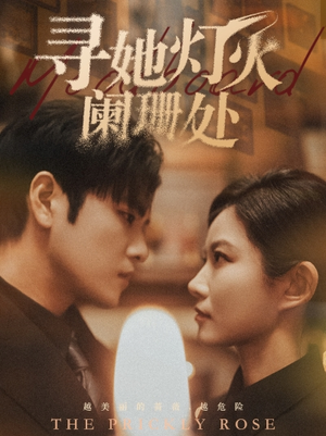 寻她灯火阑珊处（61集）哪个网站可以看