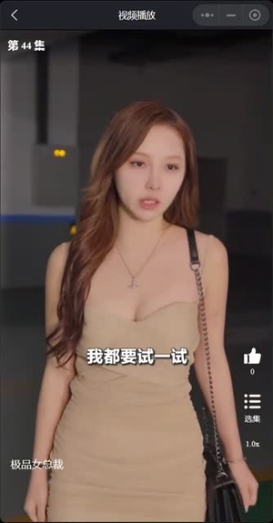 我的富豪美女总裁（我的极品女总裁）迅雷网盘观看
