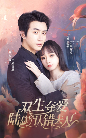 双生夺爱陆总你认错夫人了（94集）火热短剧抢先看