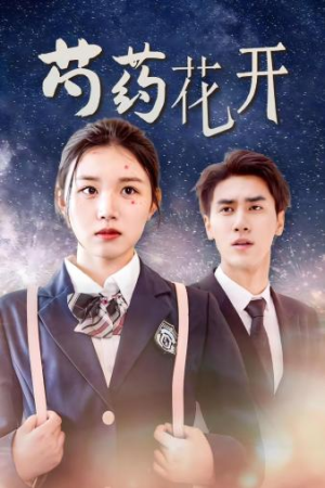 火光中的芍药花(77集) 火光中的芍药花(77集)短剧推荐分享