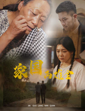 家国两难全（62集）迅雷网盘观看