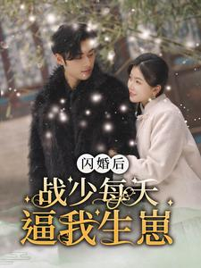闪婚后战少每天逼我生崽（91集）80到100集