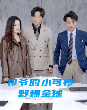 祁爷的小可怜野爆全球（81集）百度网盘资源