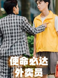 使命必达外卖员（31集）独家资源免费看