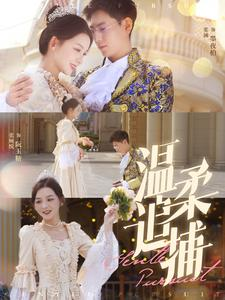 温柔追捕（89集）大结局