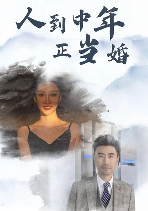 人到中年正当婚（81集）每日短剧追不停