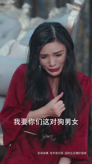 女佣的复仇（32集）在线看