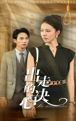 出走的决心(29集) 出走的决心(29集)好看短剧分享