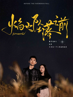 焰火坠落之前（99集）免费观看就是爽