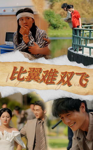 比翼难双飞（30集）战神短剧推荐