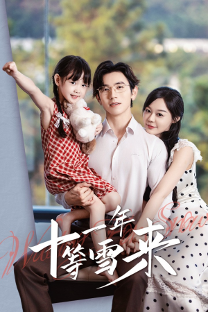 十一年等雪来（50集）短剧演员排行榜