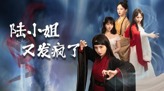 陆小姐又发疯了（28集）全集下载