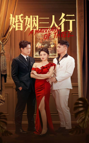 婚姻三人行(31集) 婚姻三人行(31集)夸克网盘在线看