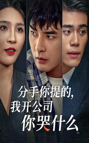 分手你提的，我开公司你哭什么（61集）热门短剧推荐。