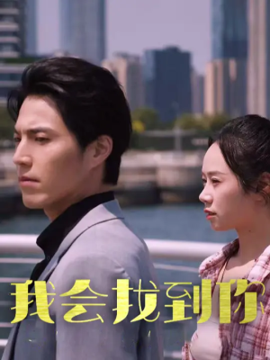 我会找到你（95集）免费观看完整版