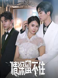 情深留不住（80集）精彩短剧看不停