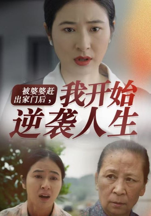 被婆婆赶出家门后我开始逆袭人生（83集）精彩短剧分享