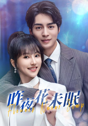昨夜花未眠（32集）免费短剧全集看