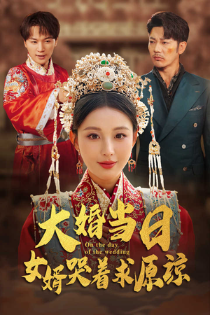 大婚当日，女婿哭着求原谅（31集）短剧分享片段