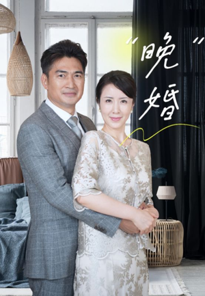 晚婚(65集) 晚婚(65集)热门短剧推荐