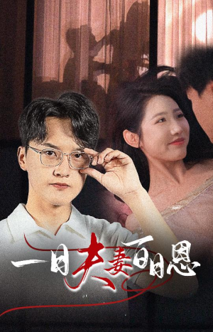 一日夫妻百日恩（30集）夸克网盘在线看