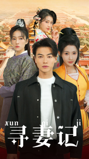 寻妻记(52集) 寻妻记(52集)看到大结局