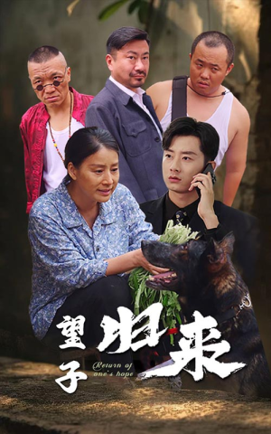 望子归来(50集) 望子归来(50集)短剧全集免费看