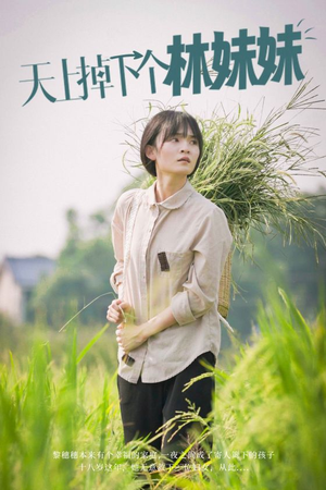 天上掉下个林妹妹(81集) 天上掉下个林妹妹(81集)抢先看热门短剧