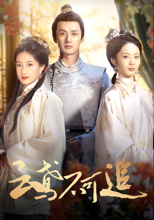 云鸢不可追（42集）热门短剧抢先