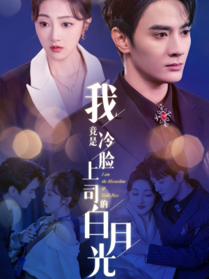 我竟是冷脸上司的白月光（80集）全集完整版