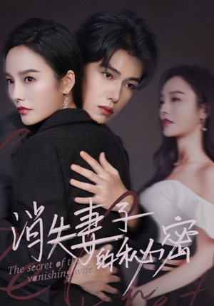 消失妻子的秘密(60) 消失妻子的秘密(60)最火爆的短剧