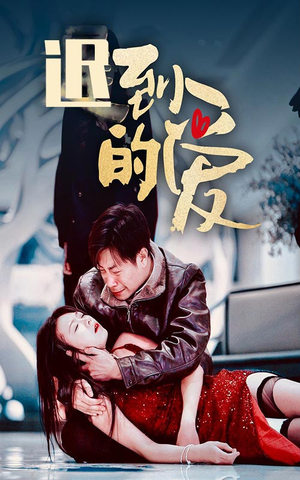 迟到的爱（35集）在哪个平台能看