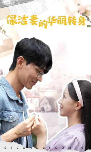 保洁妻的华丽转身（50集）百度网盘资源