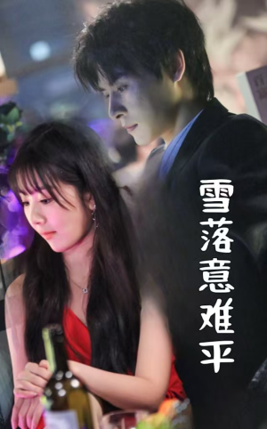 雪落意难平(35集) 雪落意难平(35集)真的好看吗