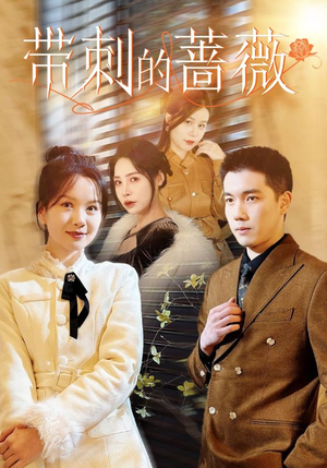 带刺的蔷薇(50集) 带刺的蔷薇(50集)1-102集